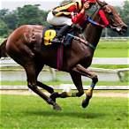 ippica bet